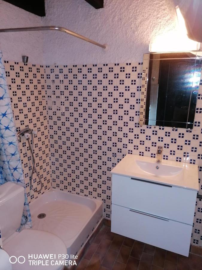 Studio Pieds Dans L'Eau Lejlighed Calcatoggio  Eksteriør billede